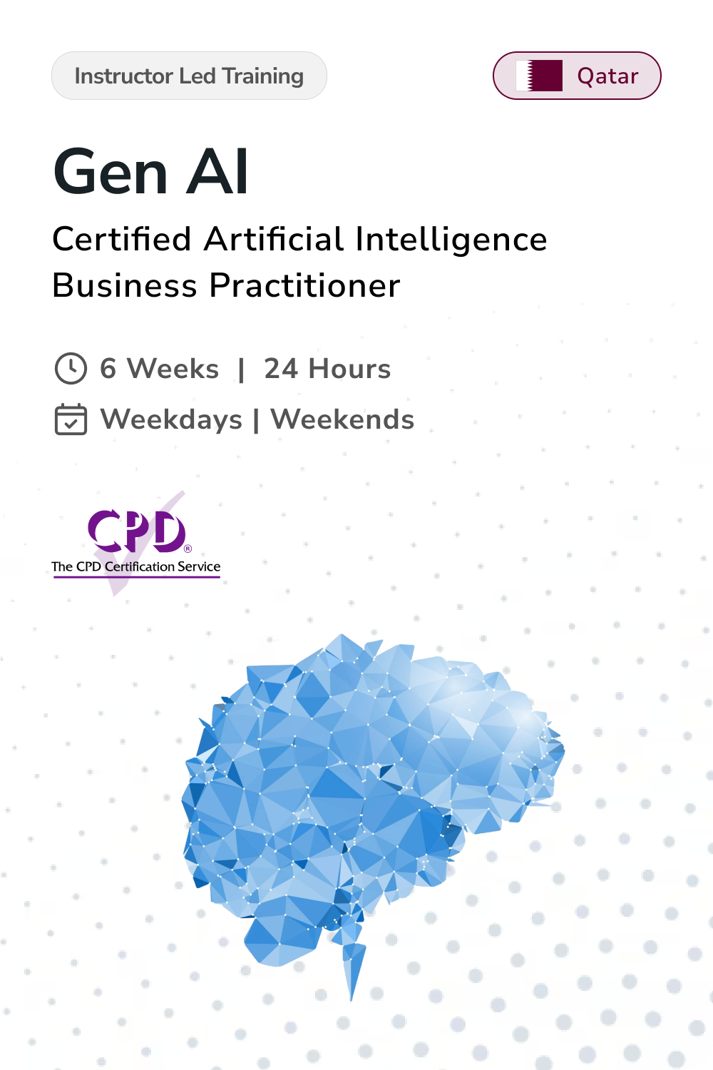 Gen AI Business Practitioner