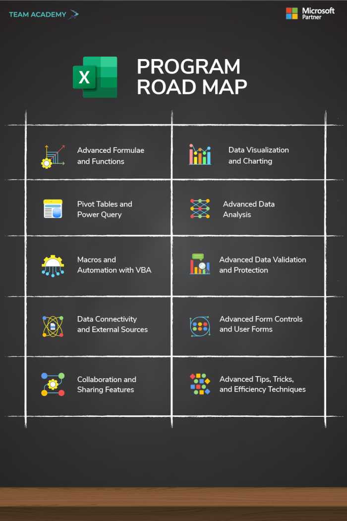 Microsoft Advanced Excel