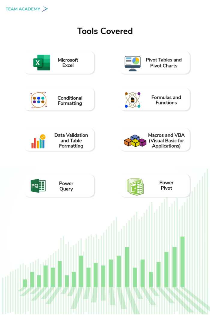 Microsoft Advanced Excel